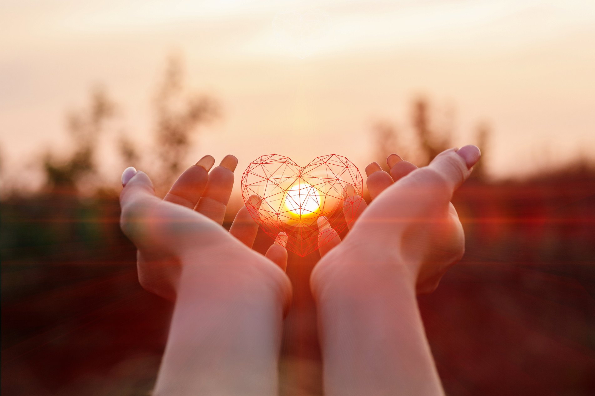 Female hands support the heart .